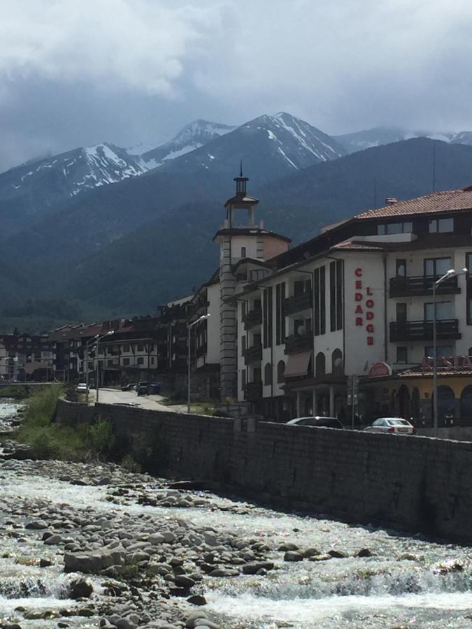 Cedar Lodge 3/4 Apartment Paradise Bansko Exterior foto